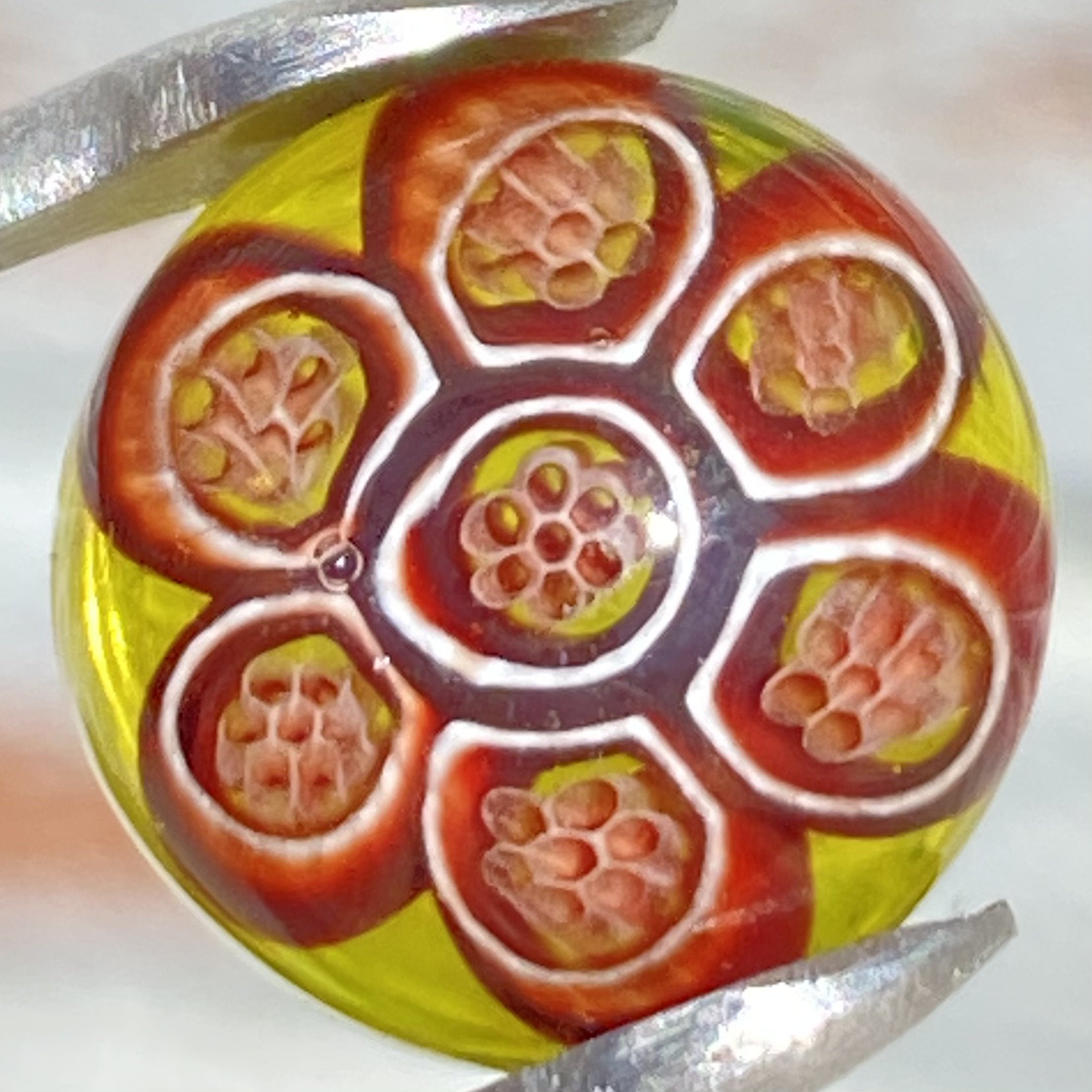 Steve H Glass