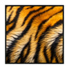 "Tiger 12" by Mood Mats