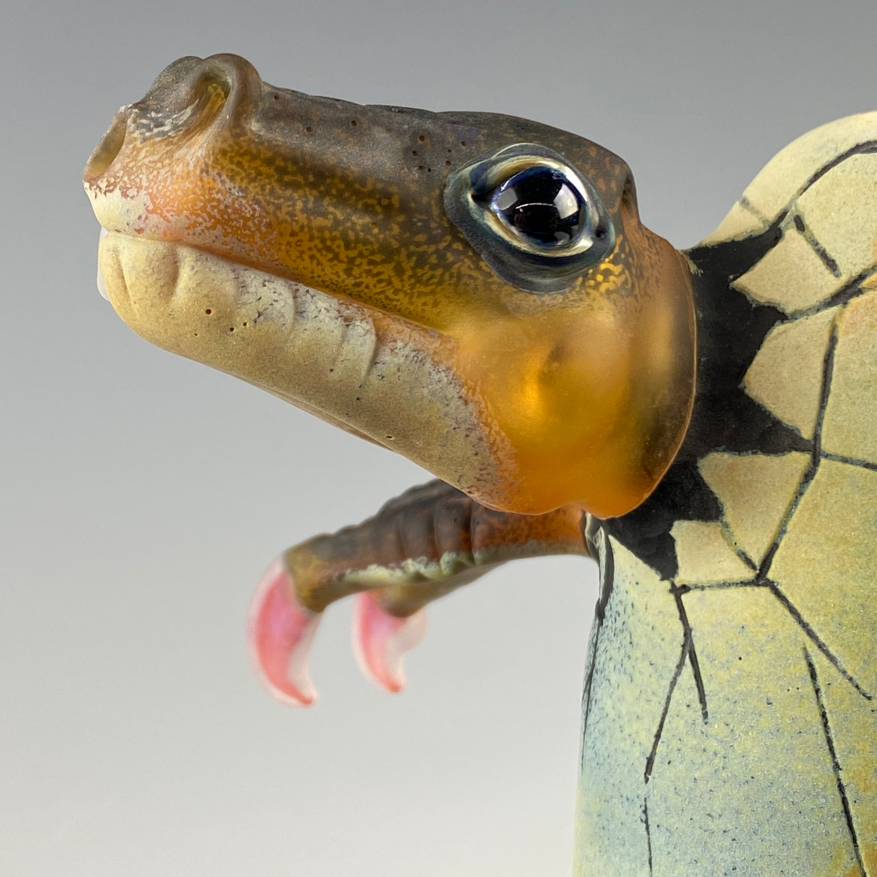 "Terp Raptor" Hatchling" Dino Rig by Kid Dino