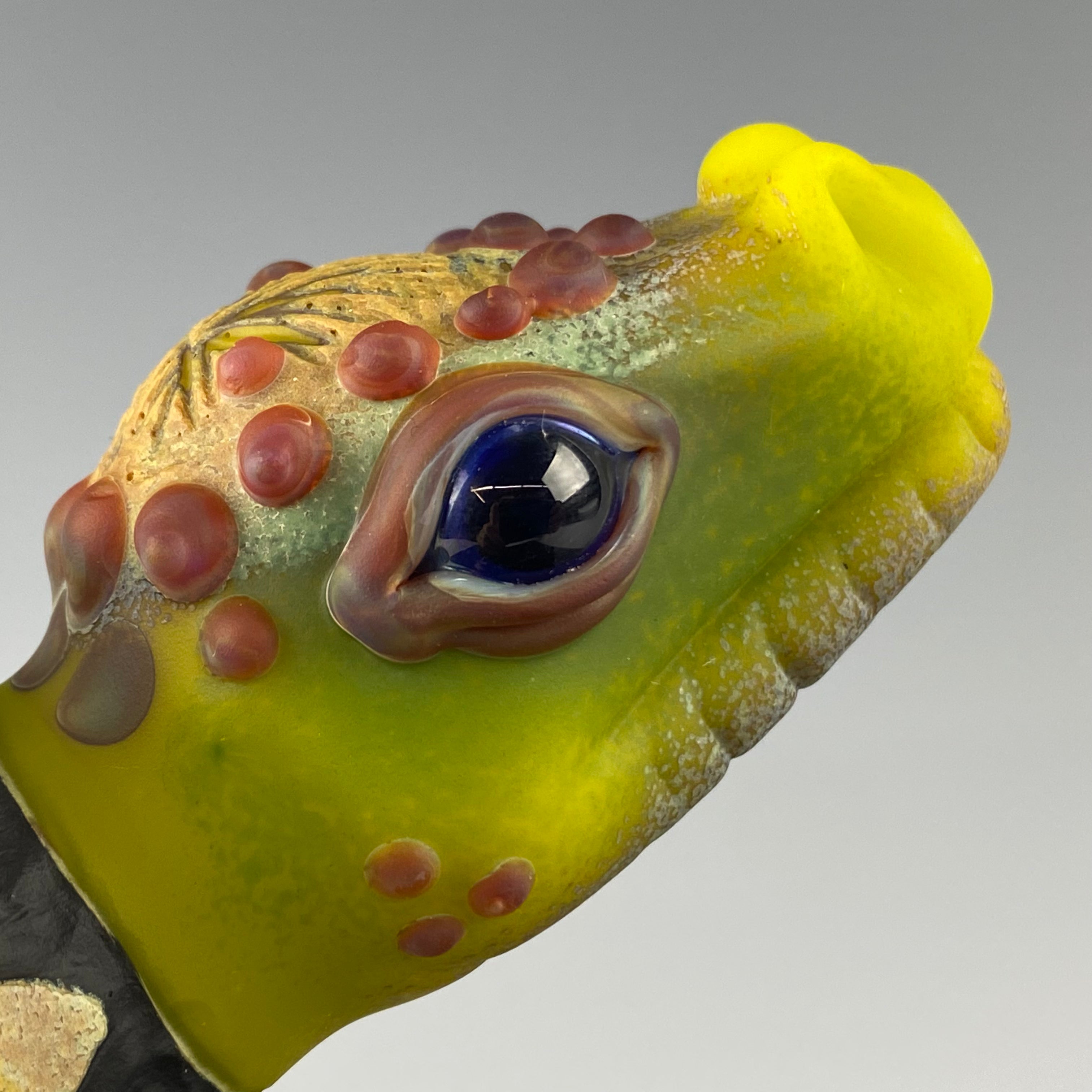 "Pachy" Hatchling" Dino Rig by Kid Dino